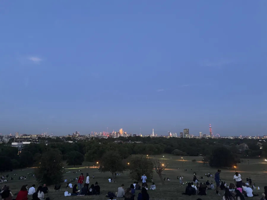 Primrose Hill view