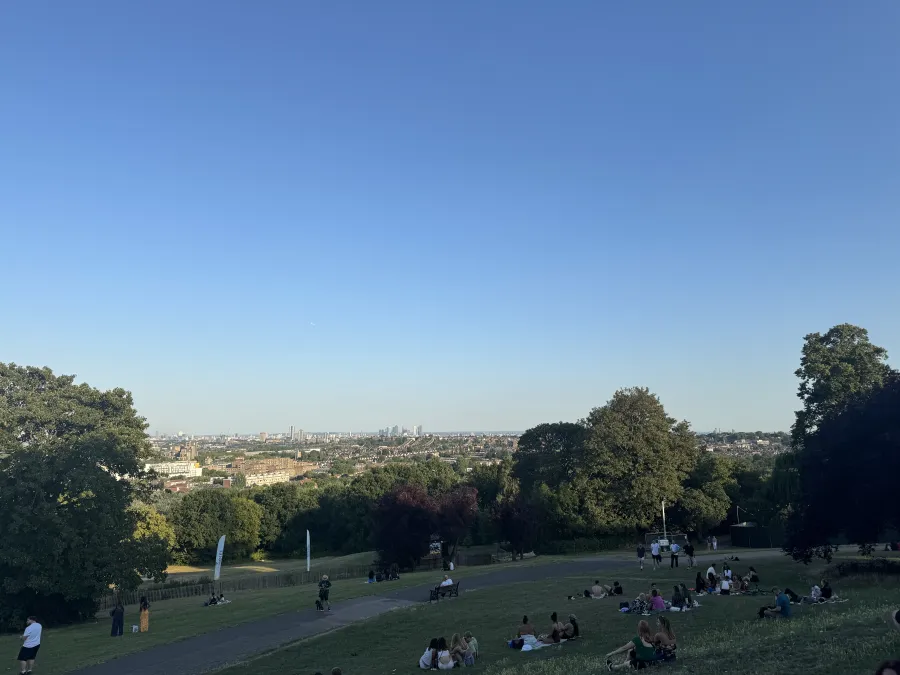Allypally