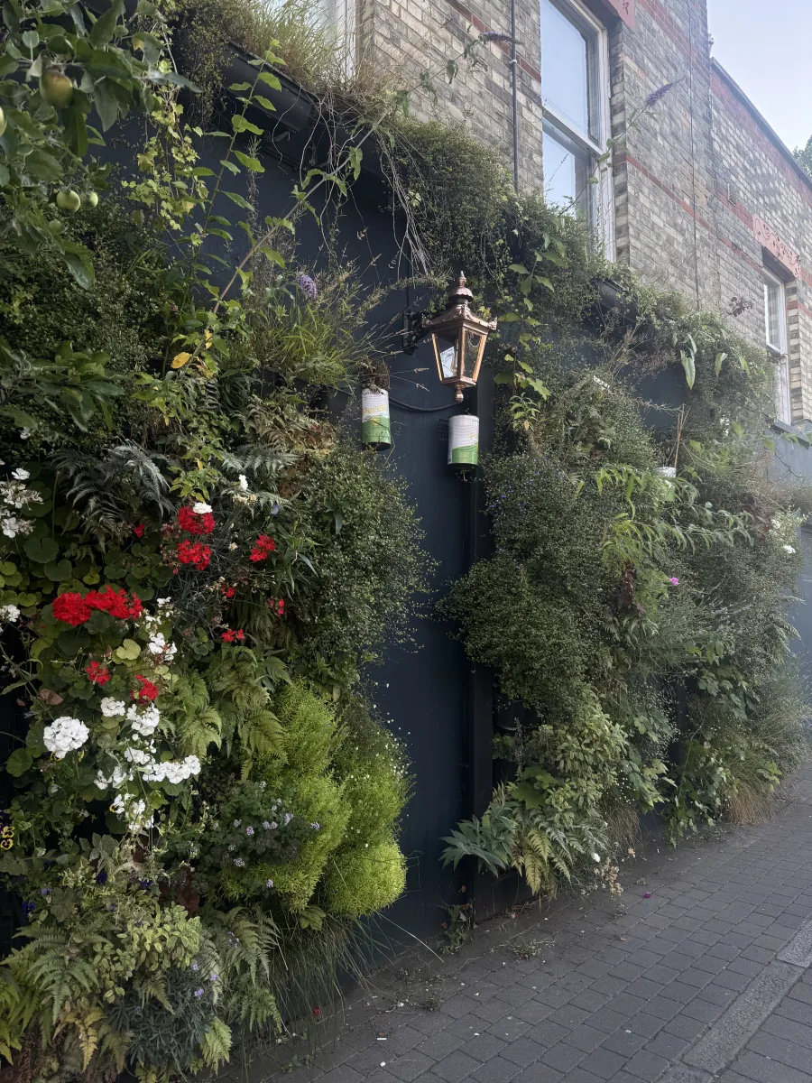 Pub