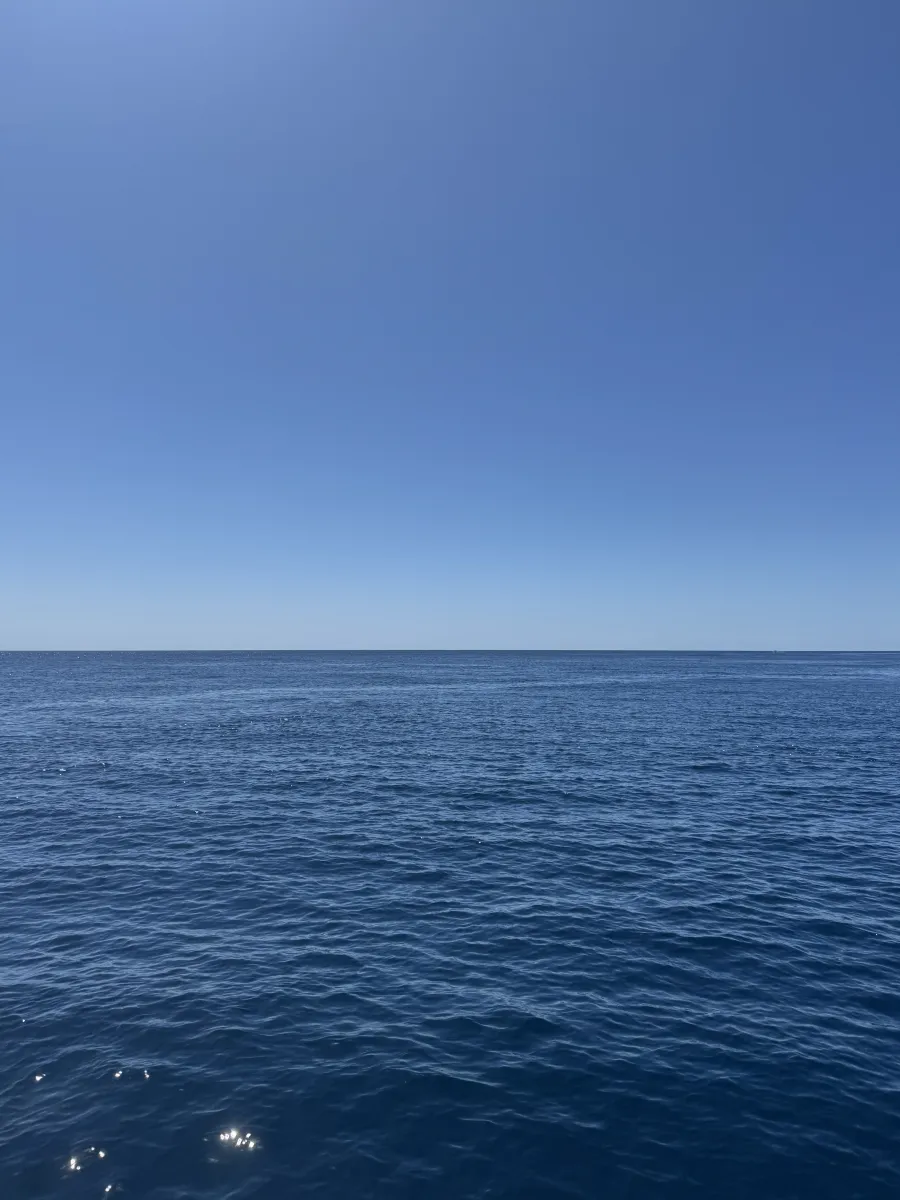 Meer