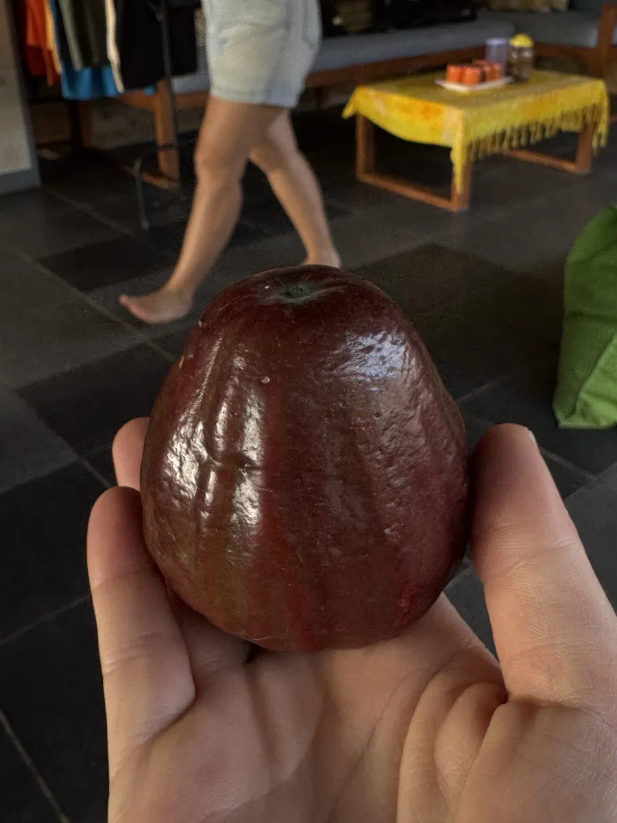 Guava