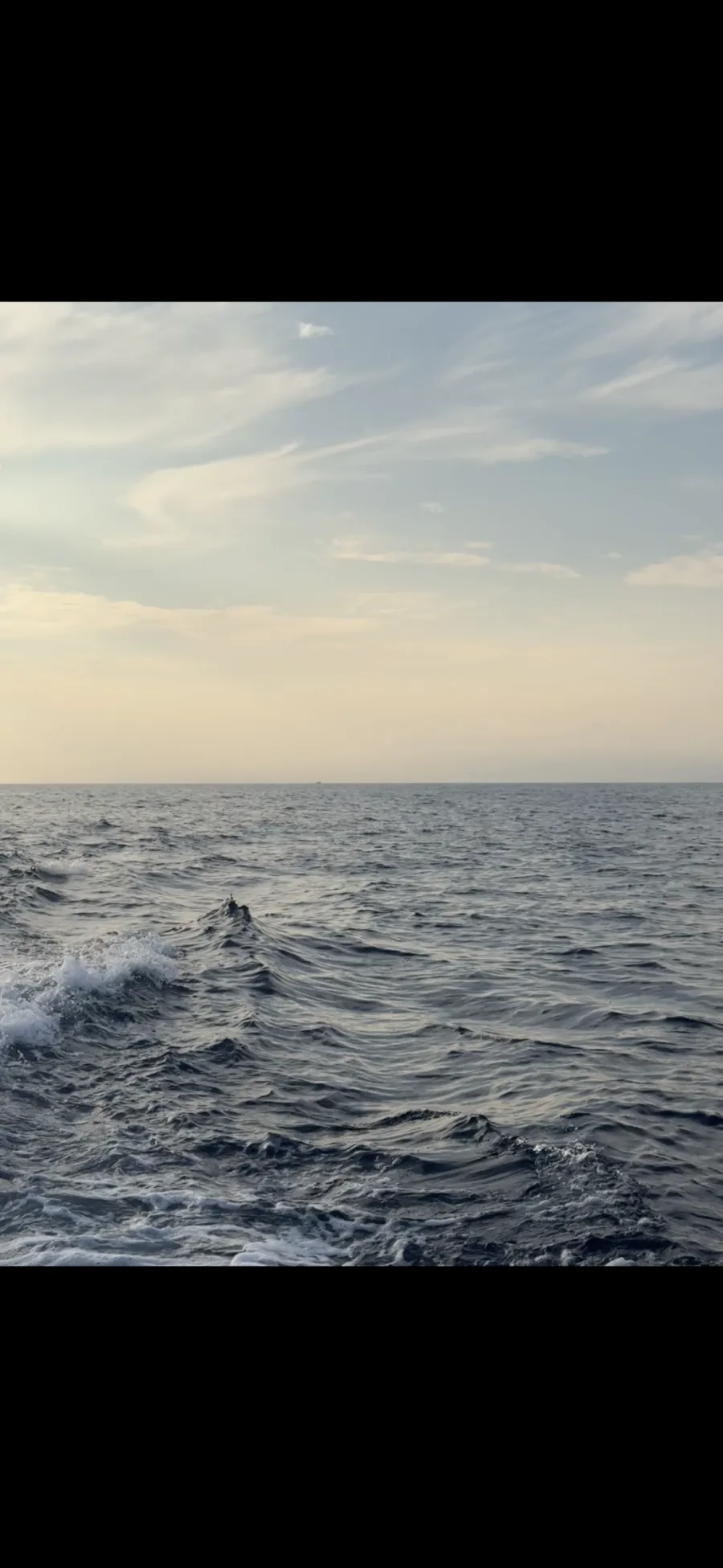 Meer